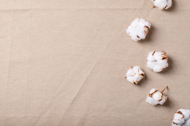 Dry cotton flower