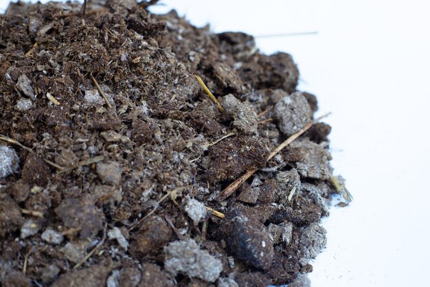 Dry cow dung Close up