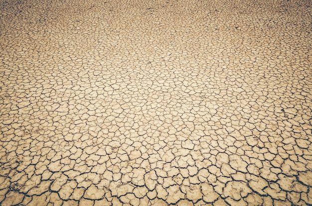 Dry cracked earth background