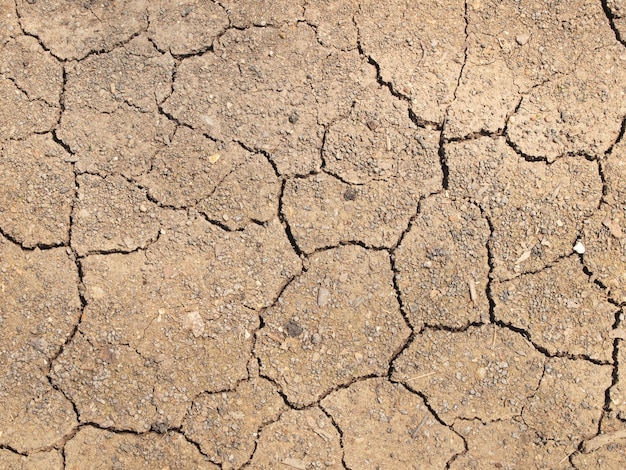 Dry cracked earth background