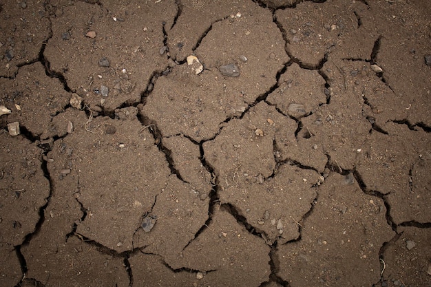 Dry cracked earth Terktury background