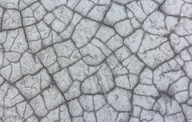 Dry cracked earth texture background. Land on a dried lake.