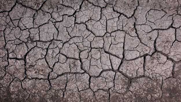 Dry cracked ground background Dried mud texture