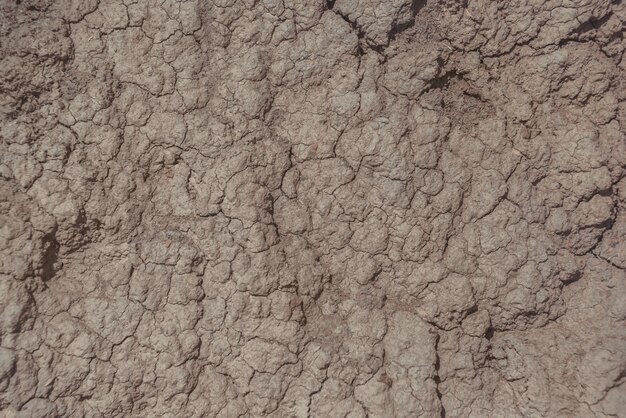 Dry and cracked ground for background. Texture of dried soil