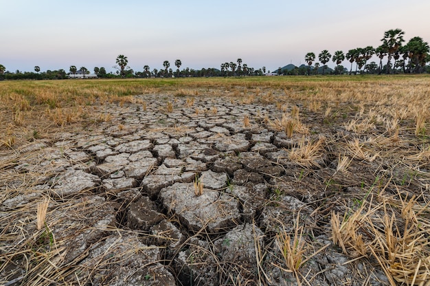 Dry cracked soil ground texture in fields