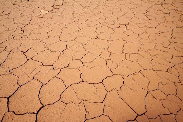 Photo dry craked earth background, soil ground texture.