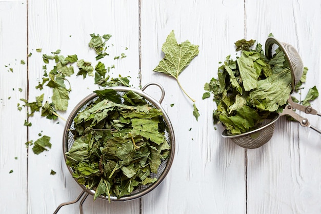 Dry currant leaves in a tea strainer close-up alternative herbal medicine.