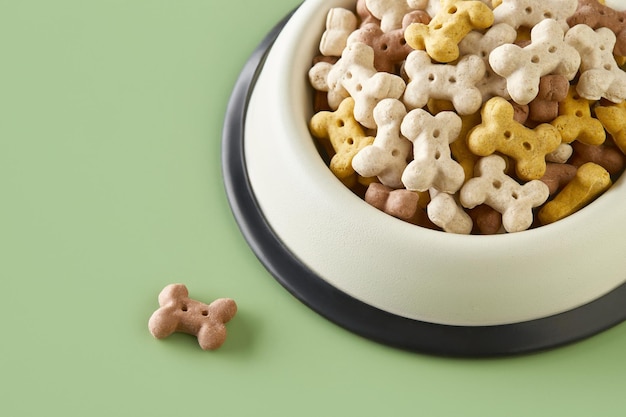 Dry dog food in bowl on green background