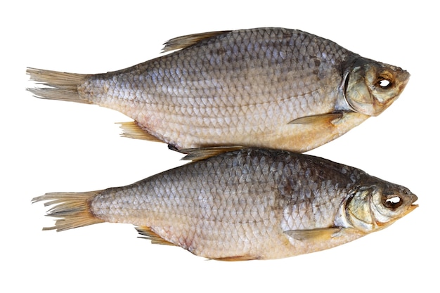 Dry dried fish isolated on a white background