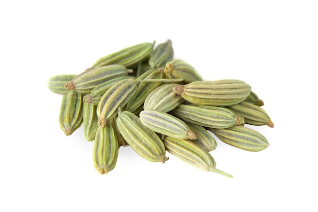 Dry fennel seeds isolated on white background Green fennel macro Fennel grains