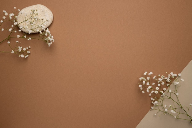 Dry flower branch and stone on a light brown.