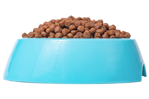 Dry food for cats or dogs. blue plastic bowl full with dog food isolated