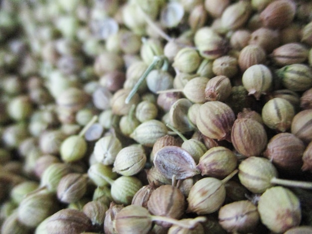 dry fruits, Dry leaves and herbs