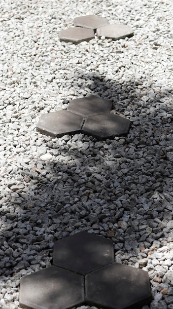 Dry garden pathway with stepping stone and white gravel