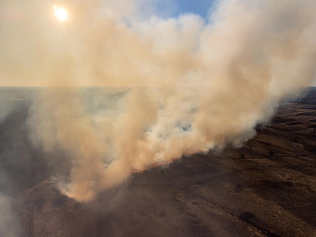 Dry grass burns on broad field nature on fire smoke in the air