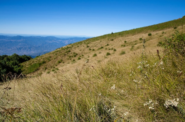 Dry grass field on hill