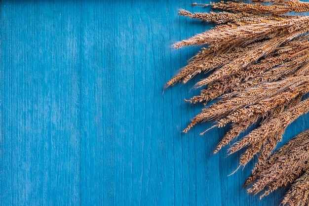 Dry grass flower on blue wooden background