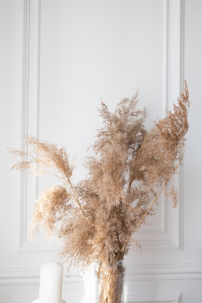 Dry grass in glass vase decor over white wall. Abstract natural background, place for text.