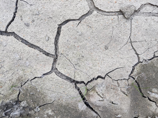 dry gray earth with cracks