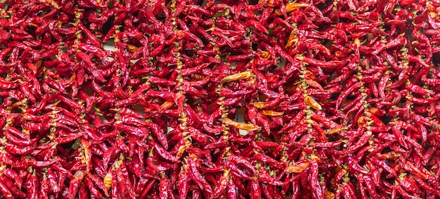 Dry hot chillis background