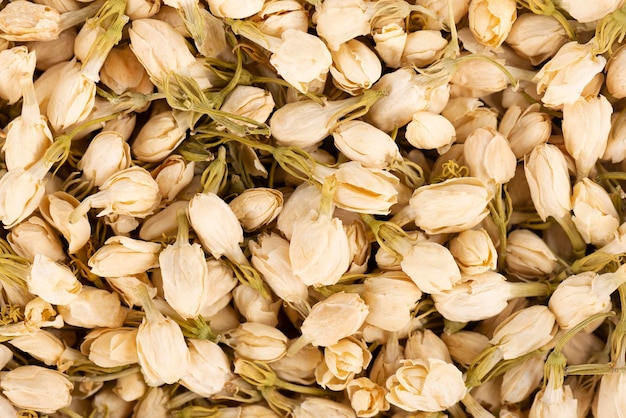 Dry jasmine flowers background Jasmine flowers tea Herbal tea Top view