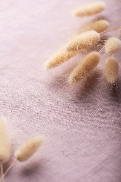 Dry Lagurus ovatus on the lilac linen fabric