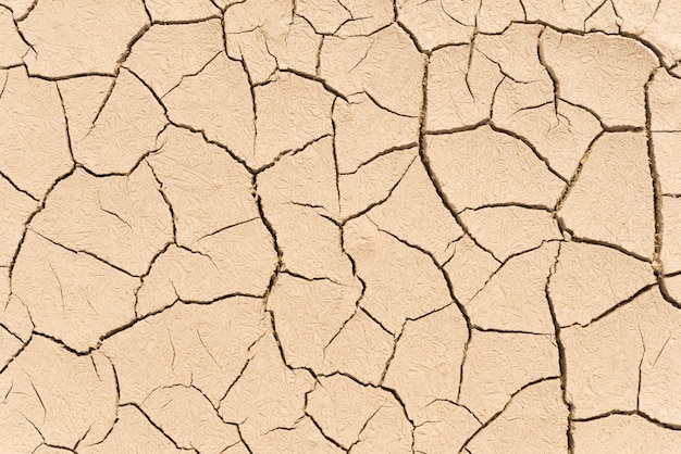 Dry land texture background