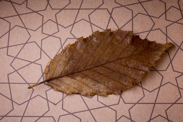 Dry leaf placed on a paper background