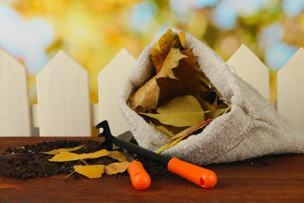 Dry leaves in bag and instruments on table on fence background