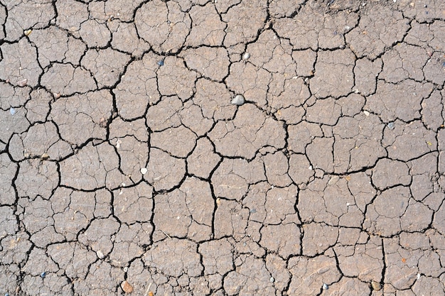 Photo dry mud cracked ground texture drought season background dry and cracked land dry due to lack of rain effects of climate change such as desertification and droughts