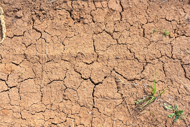 Dry mud cracked ground texture Drought season background Dry and cracked land dry due to lack of rain Effects of climate change