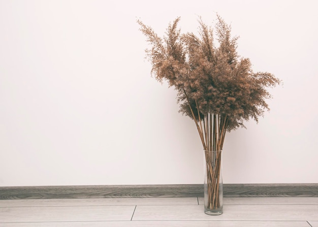 Dry pampas grass in pot on parquet floor in the room