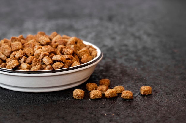 Dry pet food in a white ceramic bowl on black background with copy space