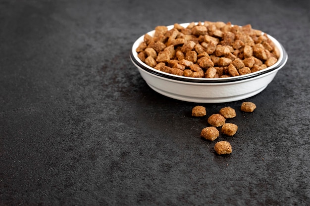 Dry pet food in a white ceramic bowl