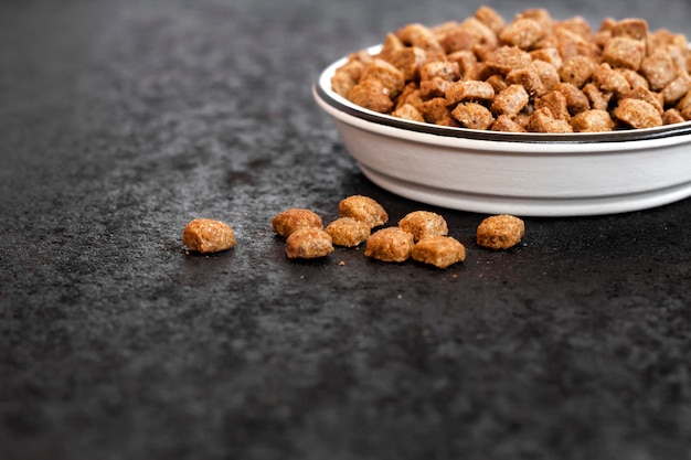 Dry pet food in a white ceramic bowl