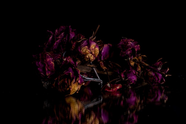 Dry pink roses surrounding a bird trap