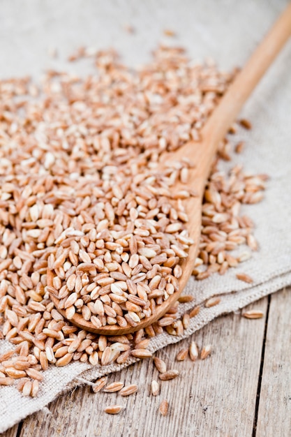 Dry raw organic wheat grain heap in wooden spoon on linen tablecloth