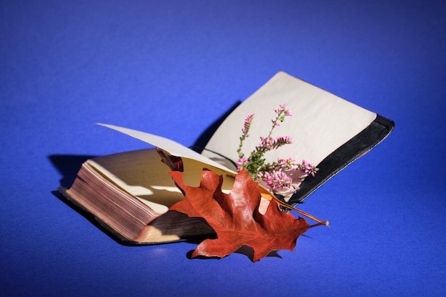 Dry red oak leaf in old book Heather flowers Purple paper background