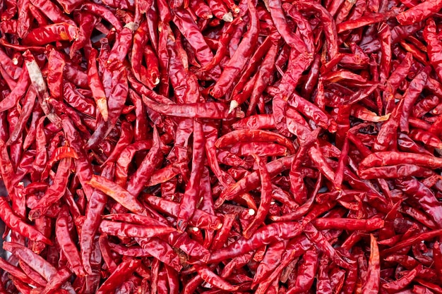 Dry red peppers in high definition background hot chilli dried chili with sun light food preservation concept