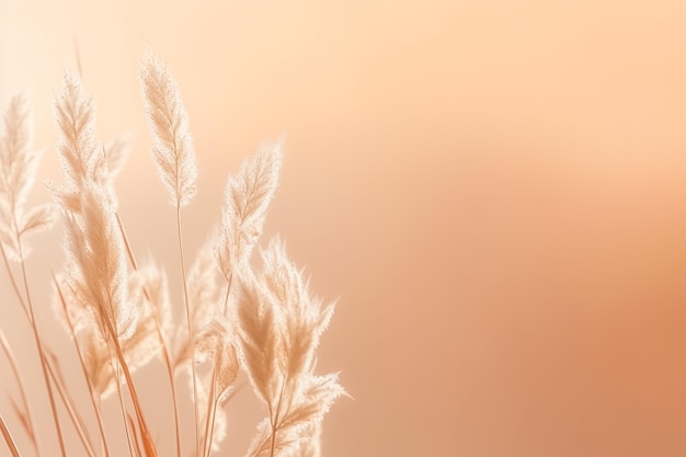 Dry reeds isolated on Beige background Ai generated