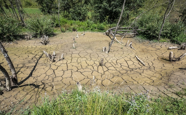 Dry River Bed Dry and Cracked soil