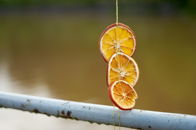 Dry slices of orange with blurred river on the background