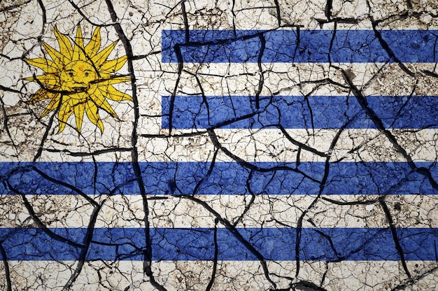 Dry soil pattern on the flag of Uruguay. Country with drought concept. Water problem.