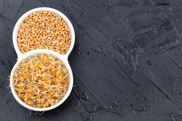 Dry and sprouted wheat grains in a white plate on a dark gray background with ears of wheat. Organic grains good for salads, healthy food. Close-up