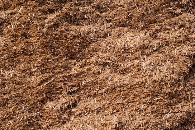 Dry straw agriculture background Dry straw texture background