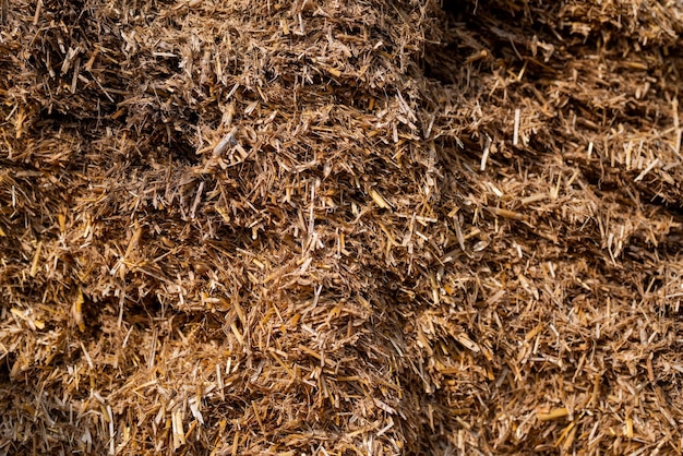 Dry straw agriculture background Dry straw texture background