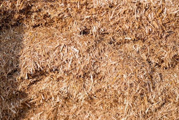 Dry straw agriculture background Dry straw texture background