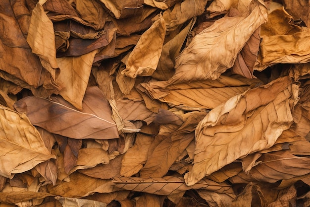 Dry tobacco leaves pattern illustration by generative ai