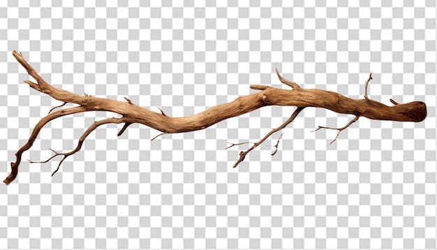 A dry tree branch png