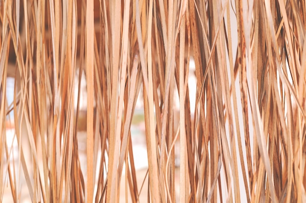 Dry vertical hanging tropical cane leaves as background.